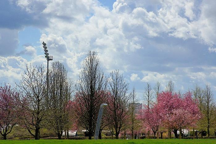  Villejuif parc des Hautes Bruyères